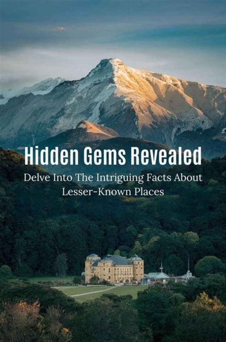 Delve Into His Wiki For Hidden Gems