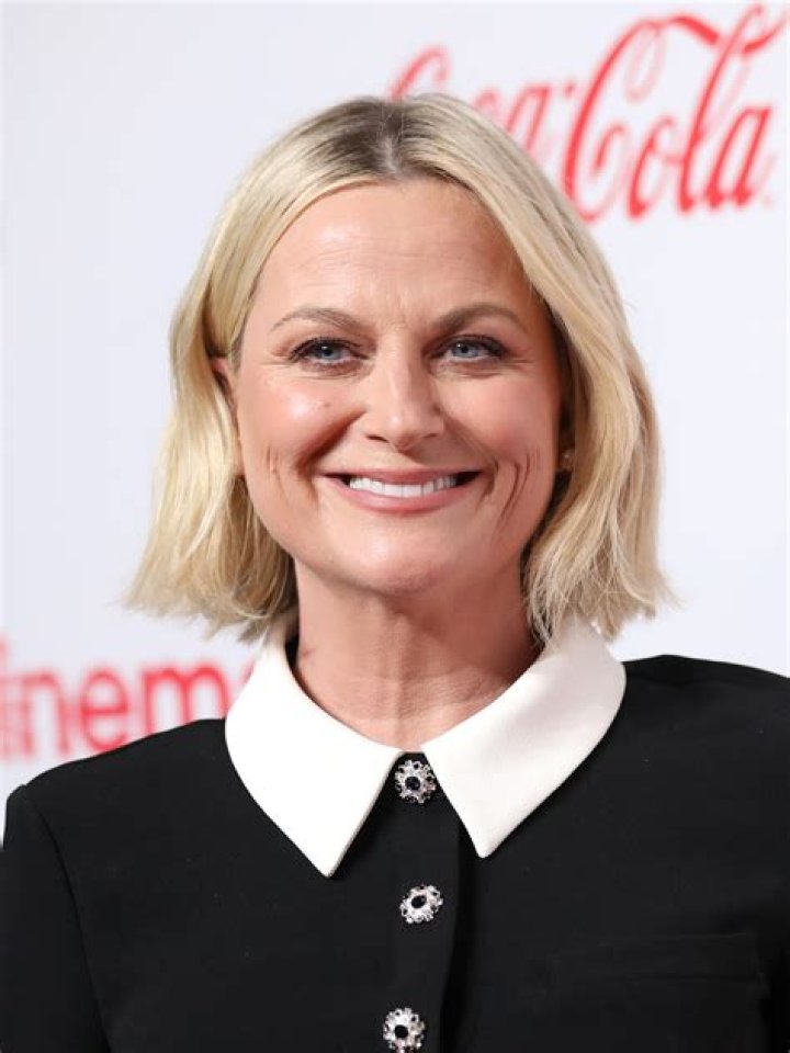 Discover The Secrets Behind Amy Poehler's Age