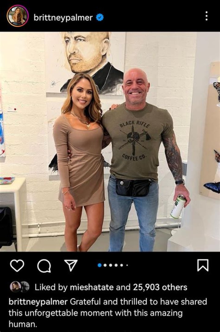 Discoveries About Britney Palmer's Boyfriend