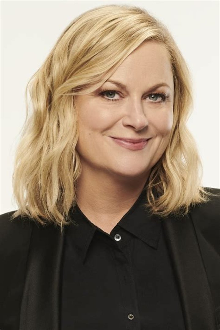The Journey Of Amy Poehler's Career