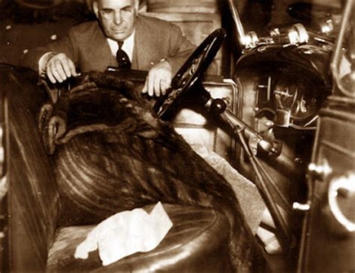 The Thelma Todd Death Car And Its Secrets Revealed