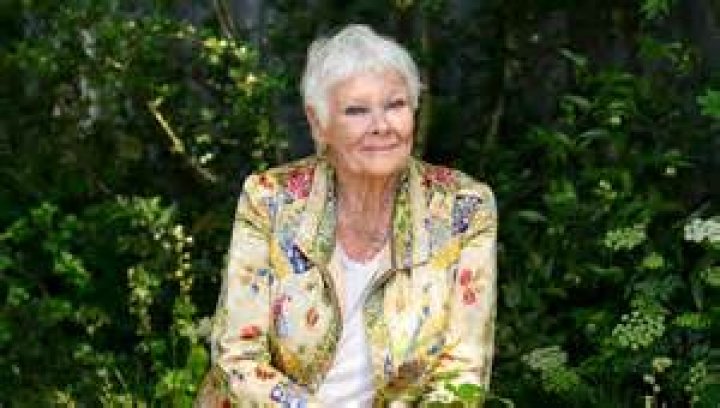 Uncover The Multifaceted Career Of Dame Judi Dench's Daughter