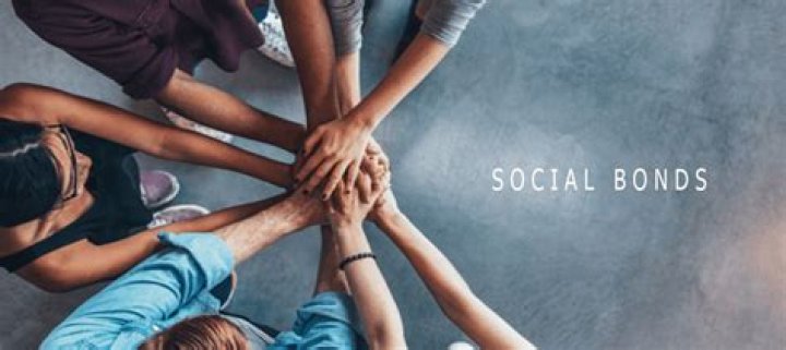 Uncovering The Close Bond And Shared Experiences