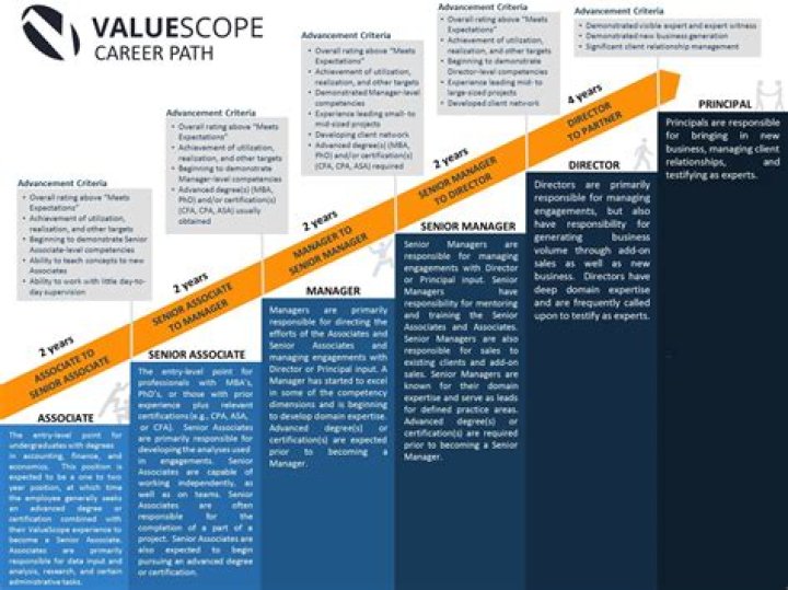 Unveiling Insights And Career Trajectory