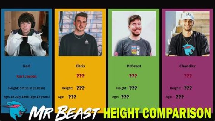 Unveiling MrBeast's Height: Discoveries And Insights