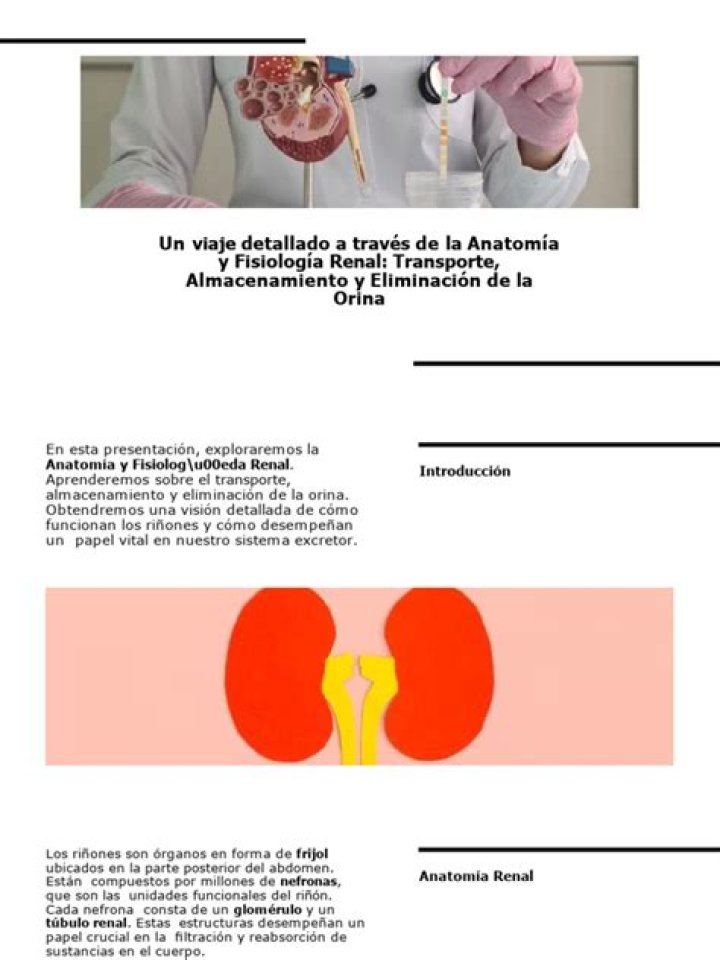 WDfrqjb.jpg (775&times;1072) Anatom&iacute;a